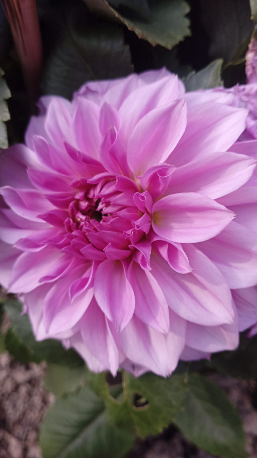 New technology is not good or evil in and of itself